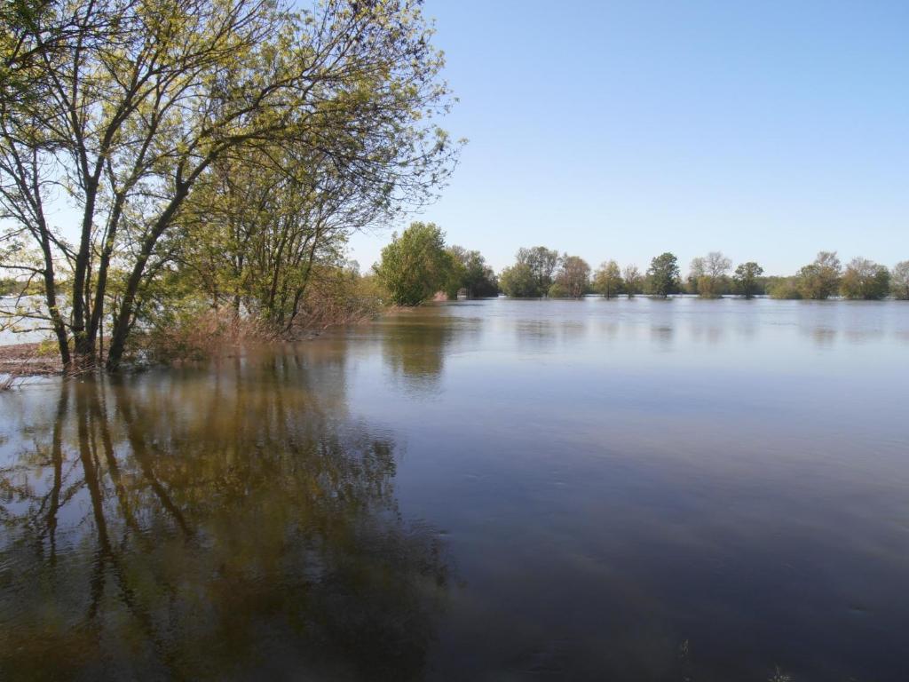 Hotel Chateau Sainte Marie Dompierre-sur-Charente Exteriér fotografie